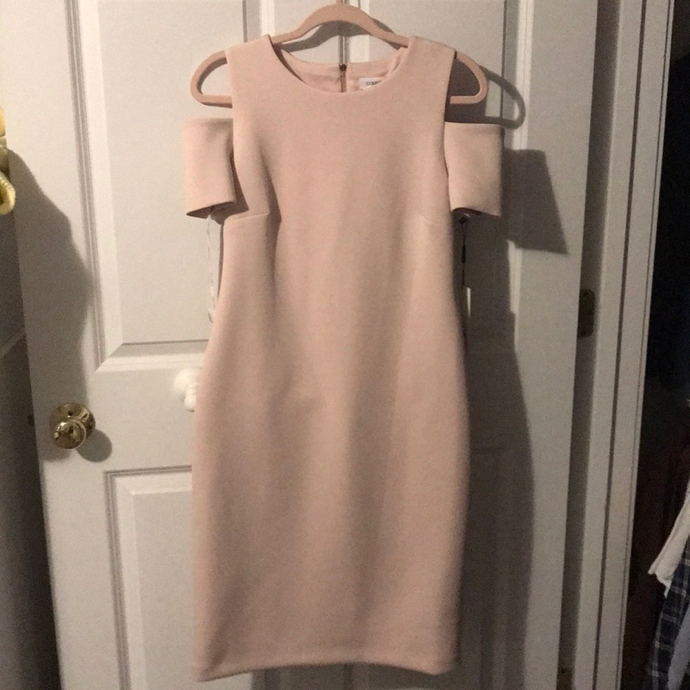 Blush pink calvin klein dress